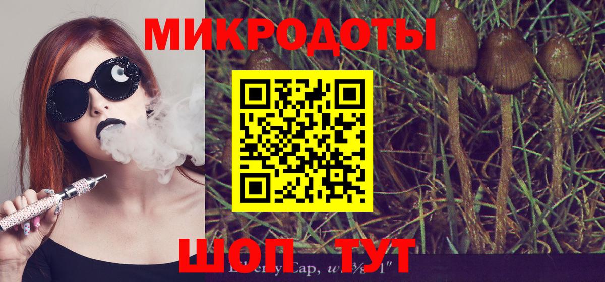 Псилоцибиновые грибы MAGIC MUSHROOMS  Вход с VPN  Электрогорск  Галлюциногенные грибы MAGIC MUSHROOMS 