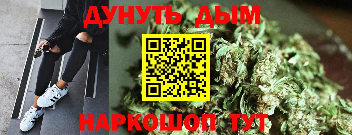 Электрогорск  Конопля план  Вход с VPN  Каннабис тримм 